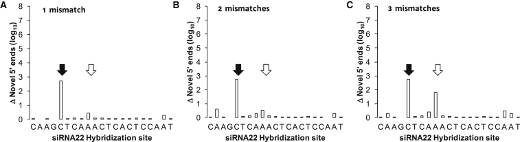 Figure 4