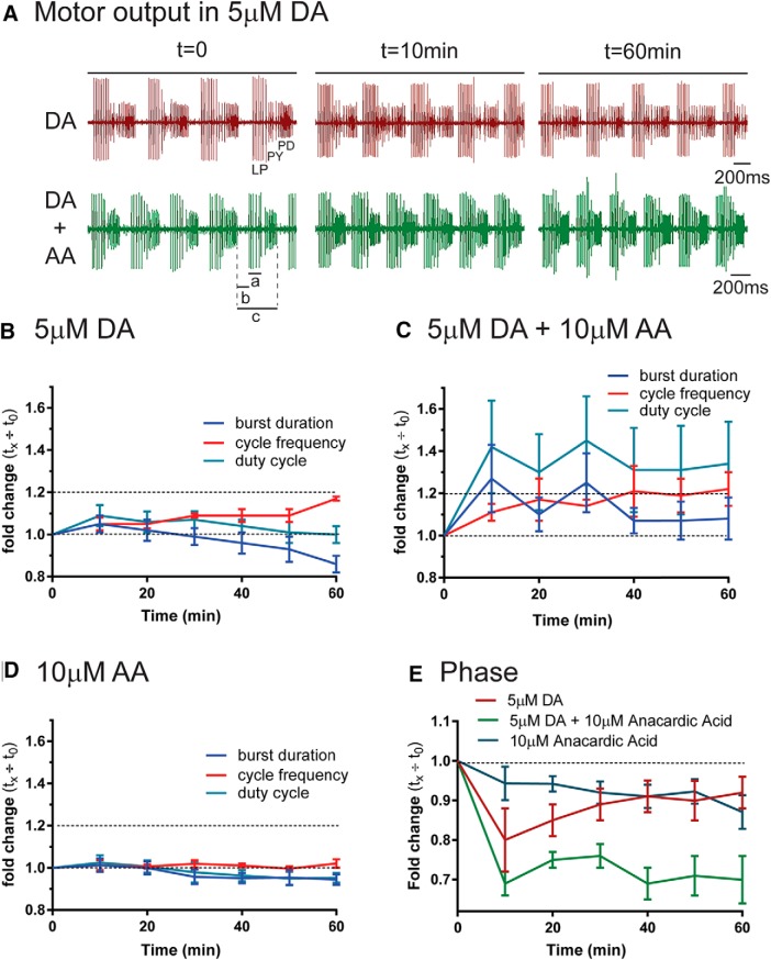 Figure 10.