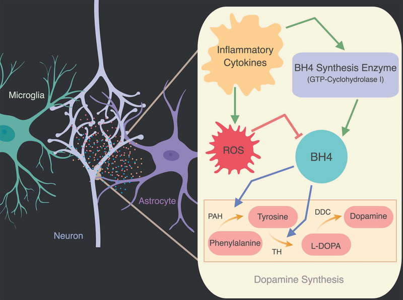 Figure 2: