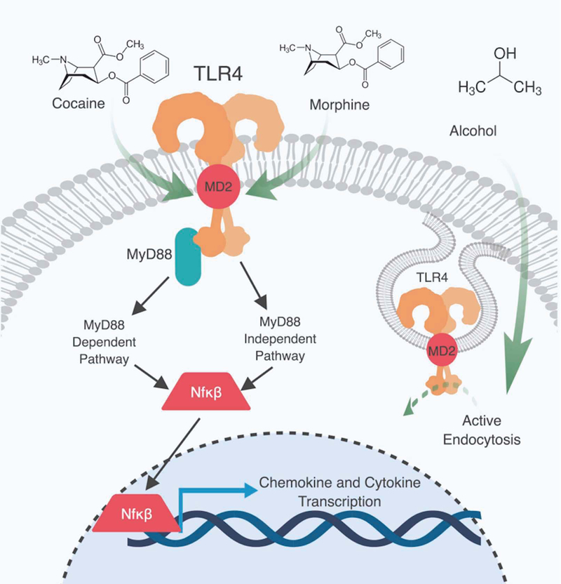 Figure 1: