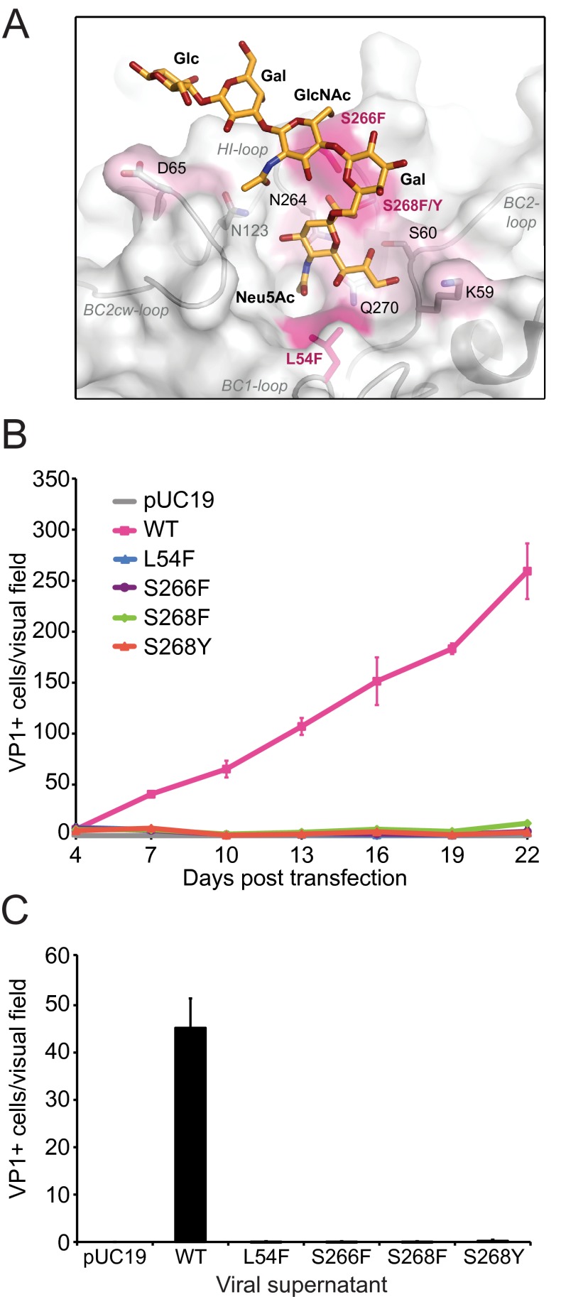 FIG 1