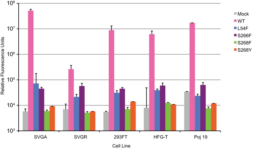 FIG 4