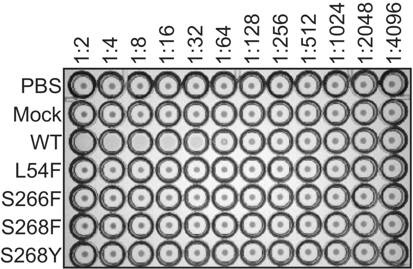 FIG 5