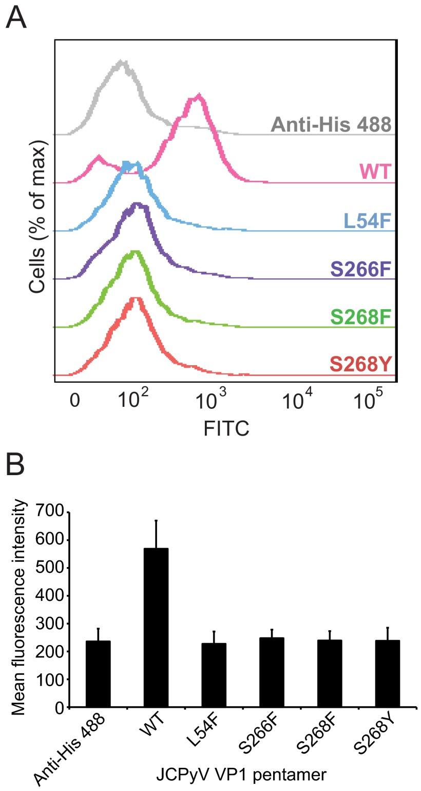 FIG 2