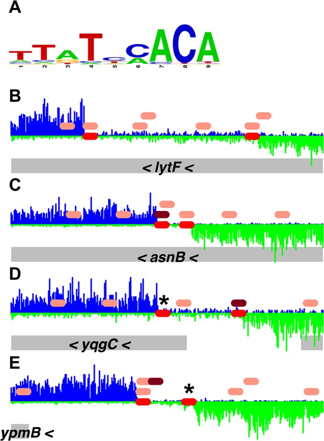 Fig 4