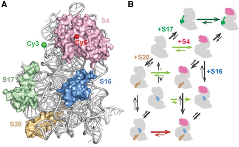 FIGURE 1.