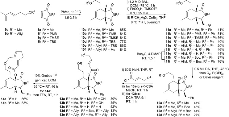 Scheme 2