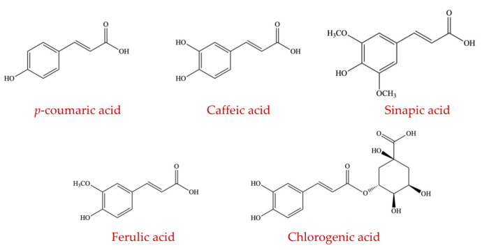 Figure 13