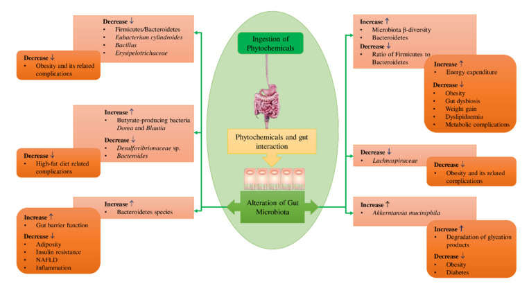 Figure 17