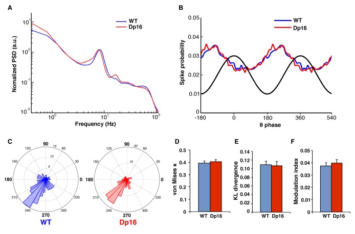 Figure 1—figure supplement 2.