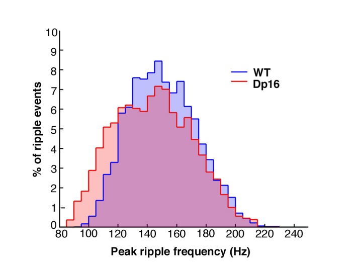 Figure 4—figure supplement 1.