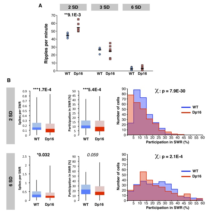 Figure 4—figure supplement 2.