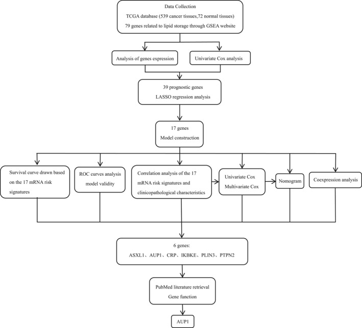 FIGURE 2