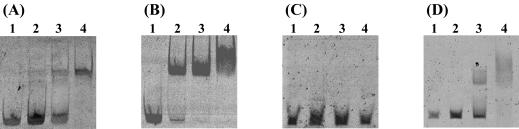 FIG. 9.