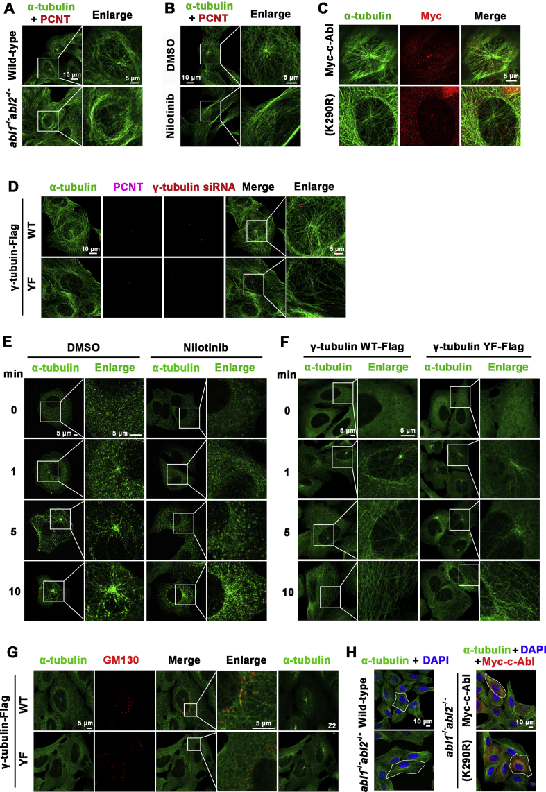 Figure 6