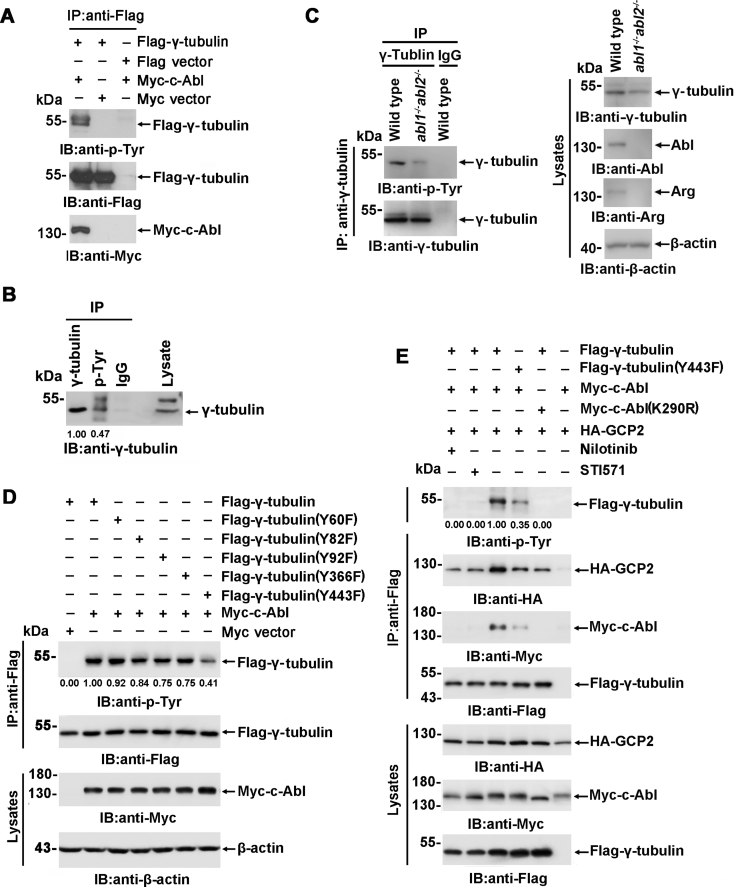 Figure 2