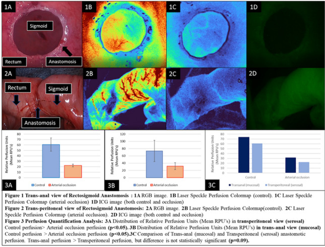 graphic file with name 464_2023_10072_Figfs_HTML.jpg