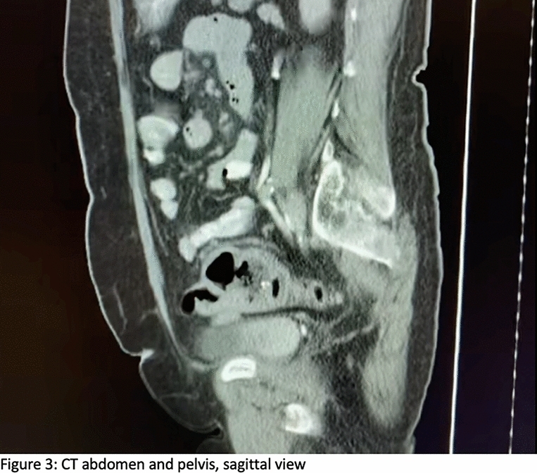 graphic file with name 464_2023_10072_Figcn_HTML.jpg