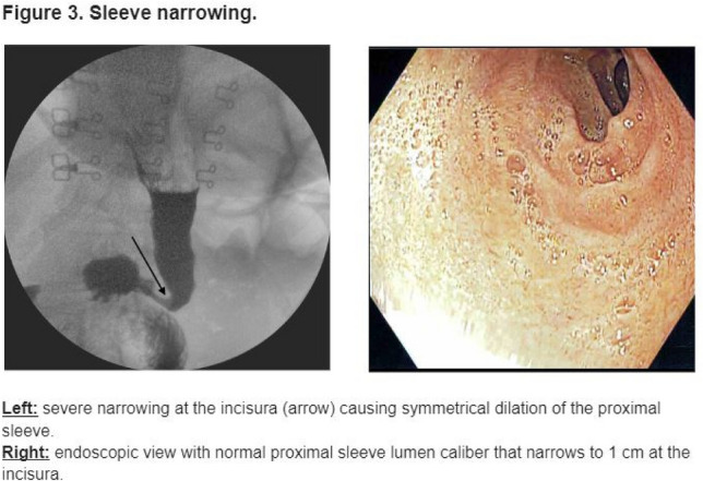 graphic file with name 464_2023_10072_Figam_HTML.jpg