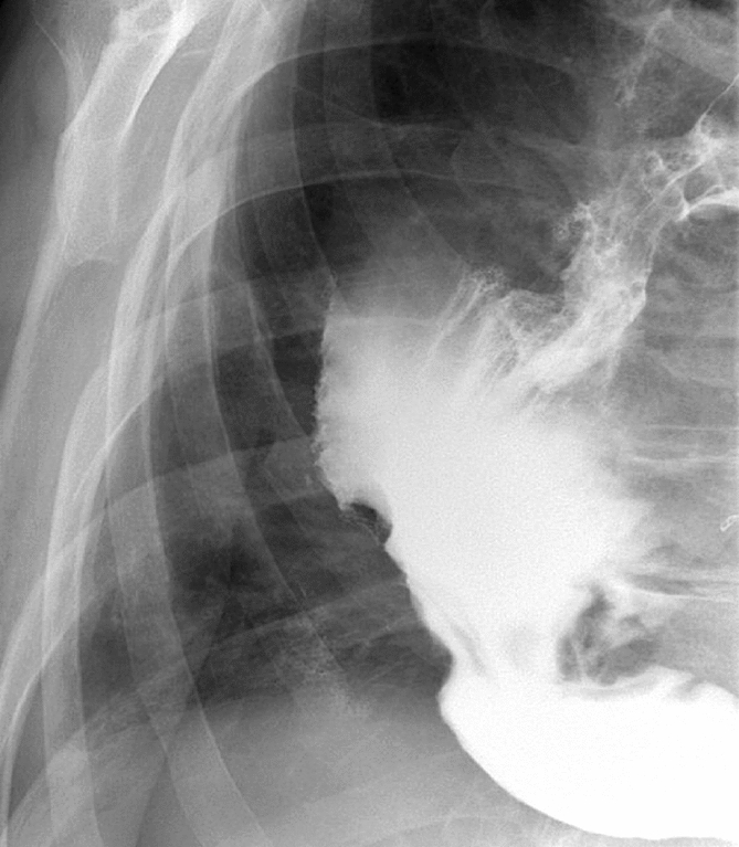 graphic file with name 464_2023_10072_Figed_HTML.jpg