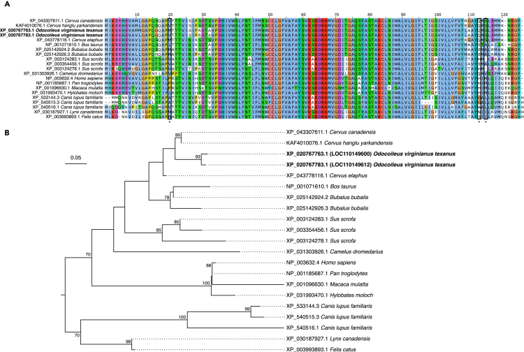 Figure 6