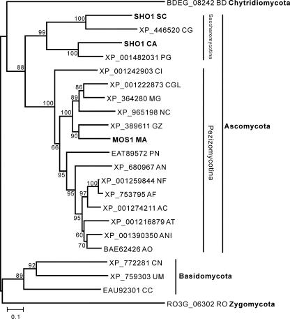 FIG. 3.