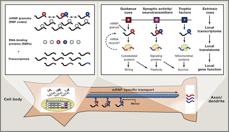 Figure 3