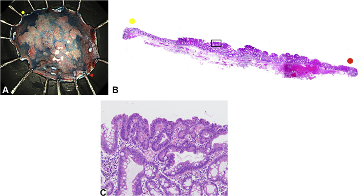 Figure 6