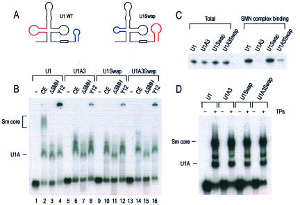 FIG. 6.