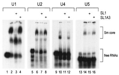 FIG. 5.