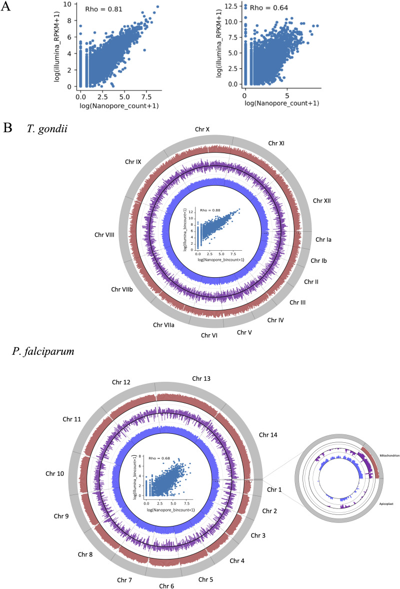 FIG 2