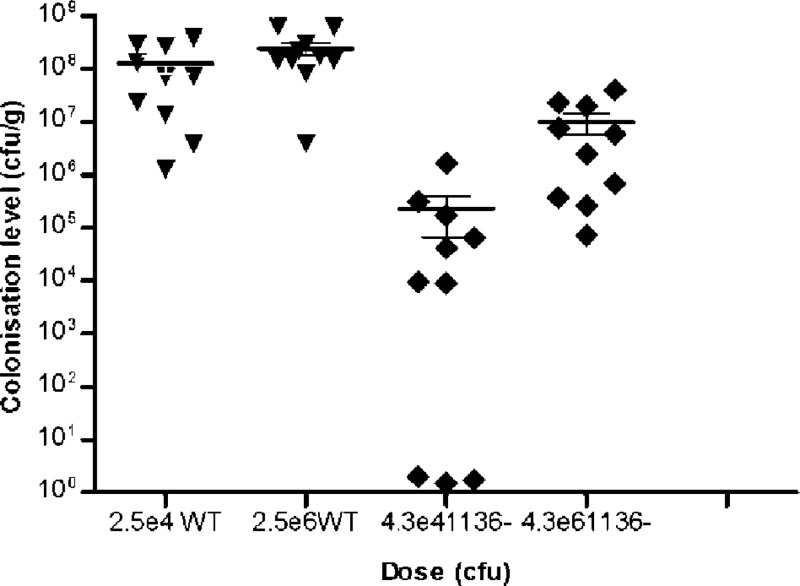 Fig 5