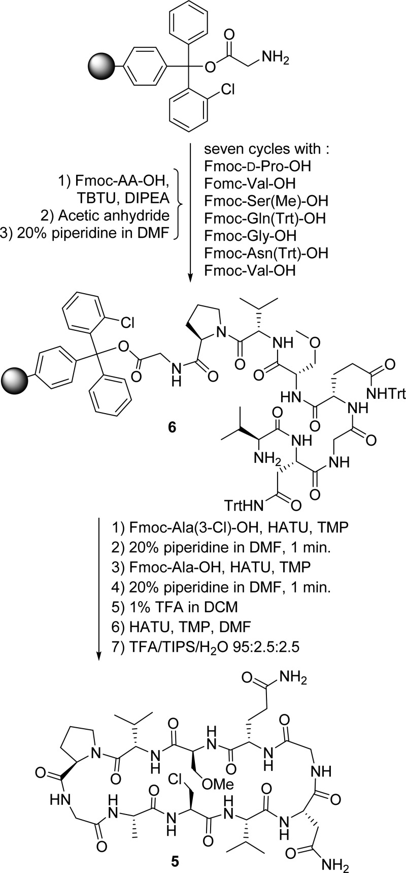 Scheme 1