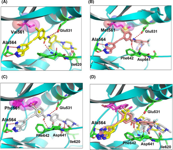 FIGURE 4