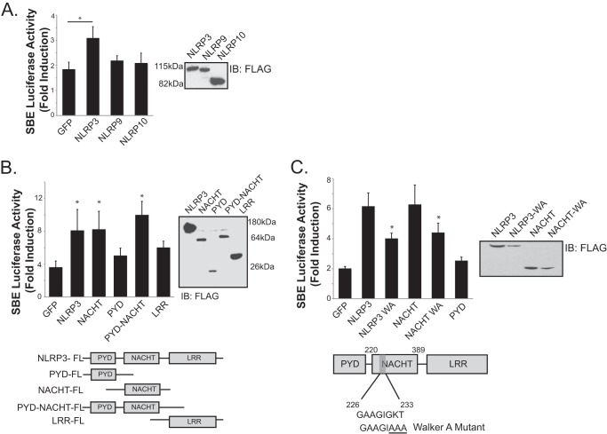 FIGURE 3.