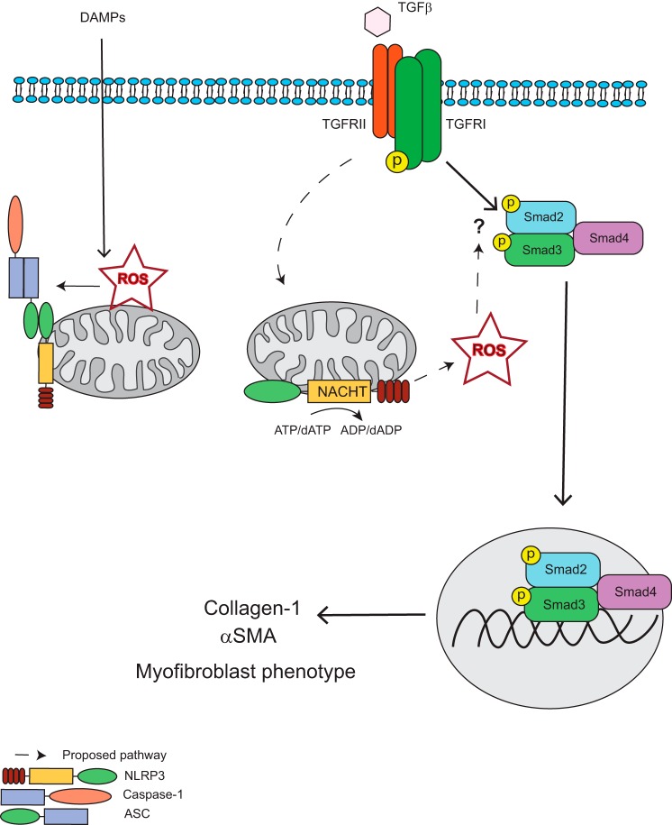 FIGURE 10.