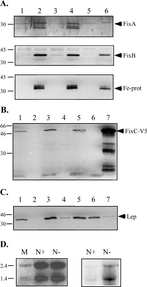 FIG. 3.