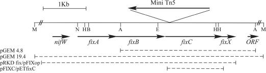 FIG. 2.