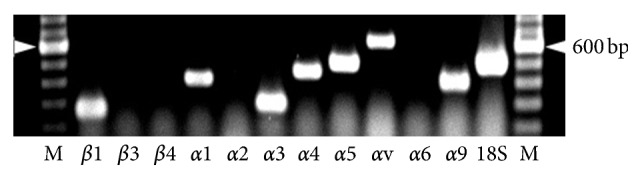 Figure 9