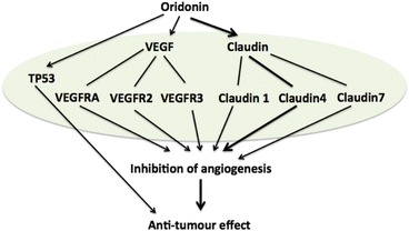 Fig. 16