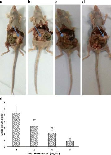 Fig. 13