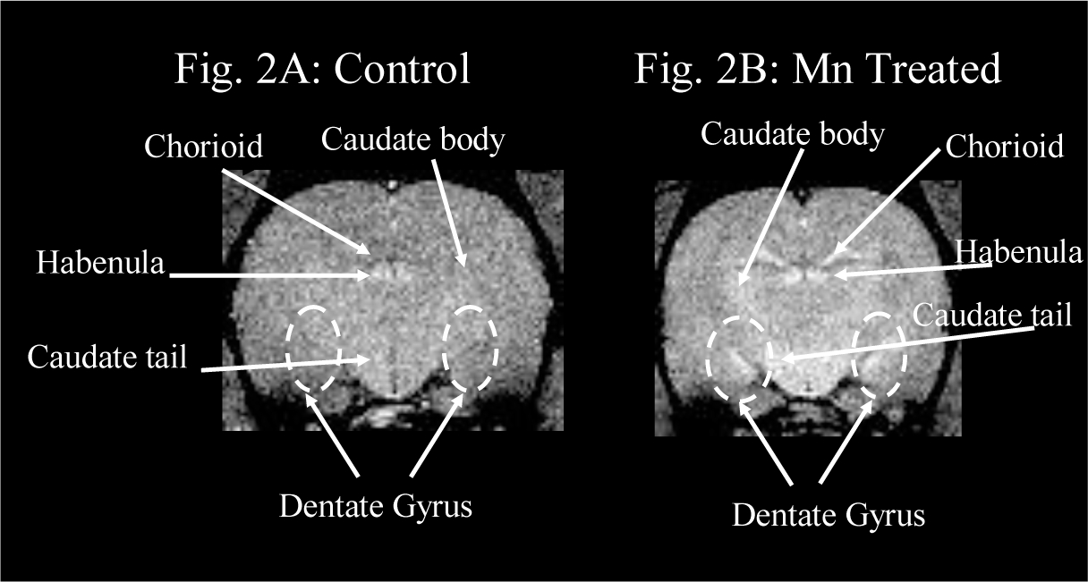 Figure 2: