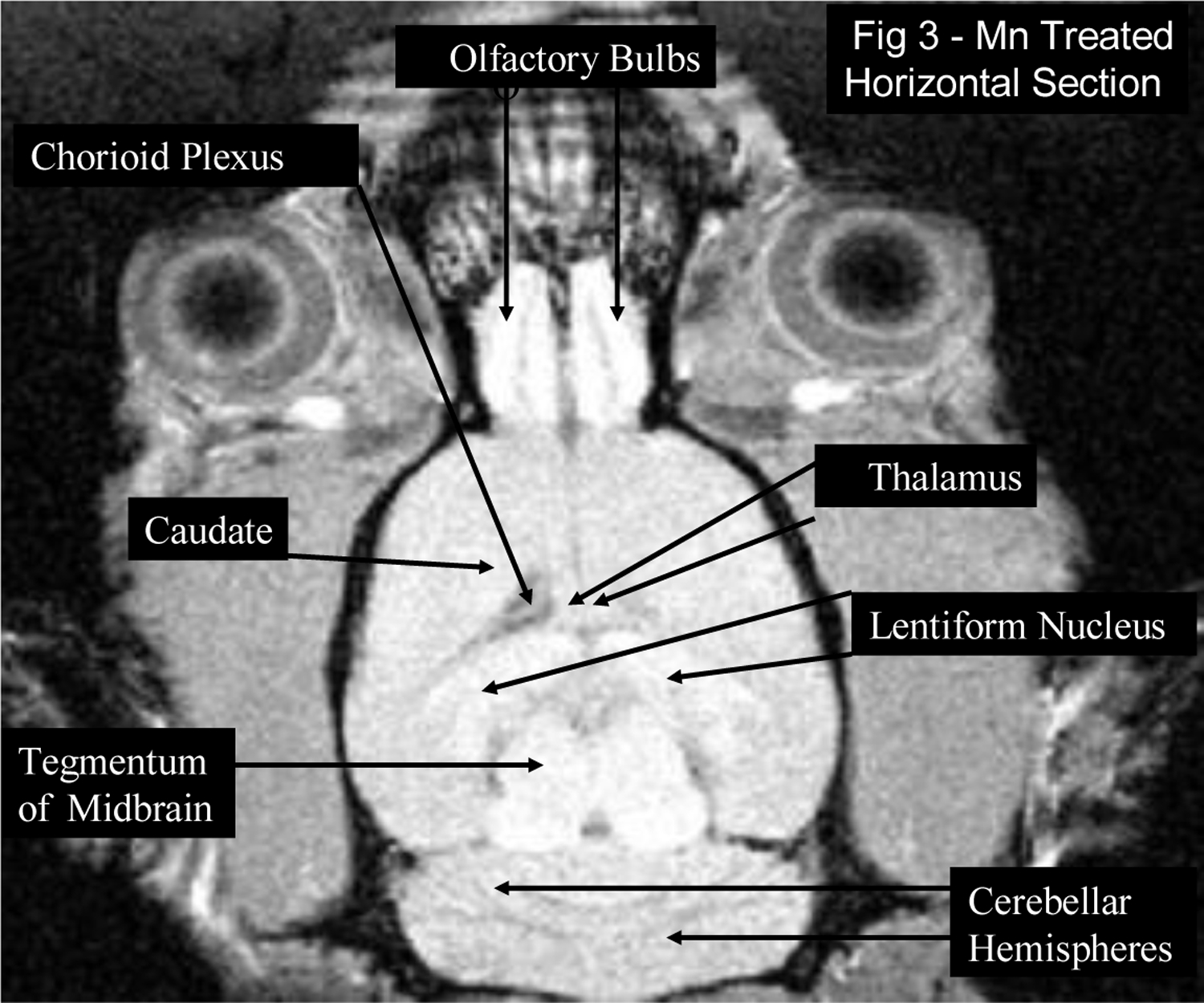 Figure 3: