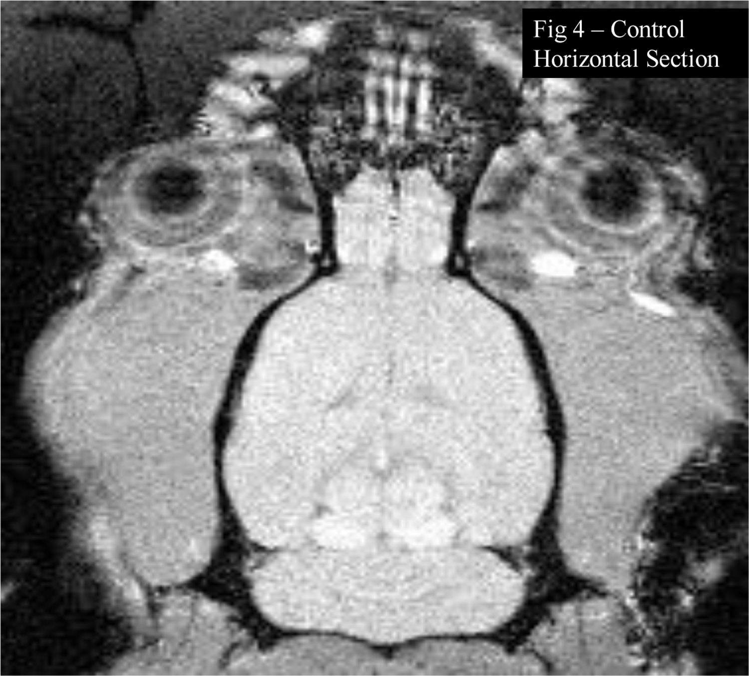 Figure 4: