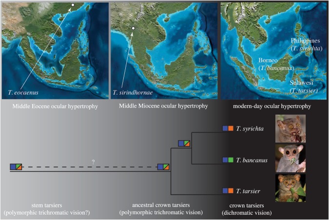 Figure 3.