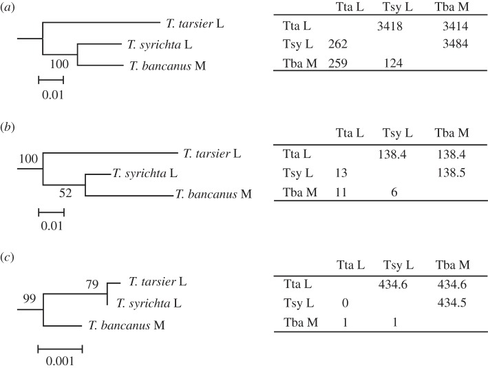 Figure 2.