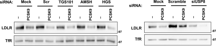 Fig 9