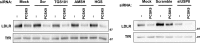 Fig 9