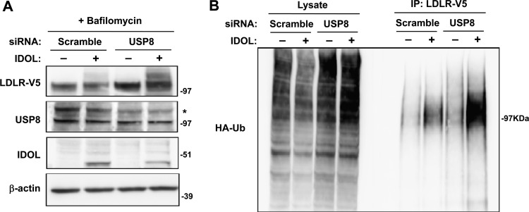 Fig 10