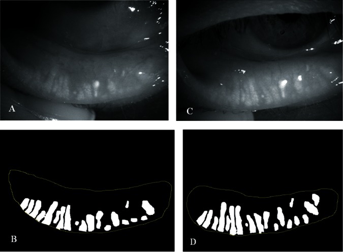 Figure 4